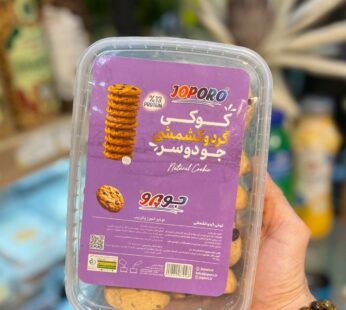 کوکی رژیمی جودوسر کشمشی و شیرین شده با استویا جوپرو