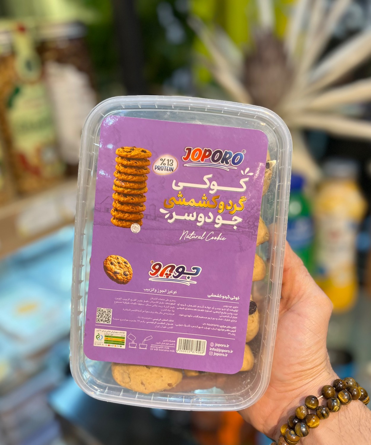 کوکی رژیمی جودوسر کشمشی و شیرین شده با استویا جوپرو