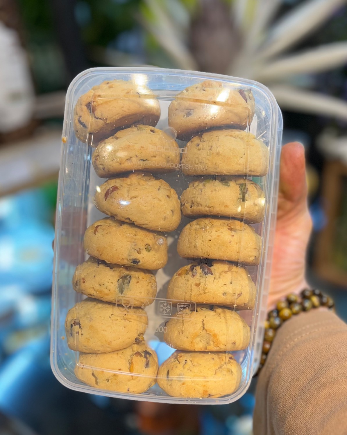 کوکی رژیمی جودوسر پسته ای و شیرین شده با استویا جوپرو - Image 3